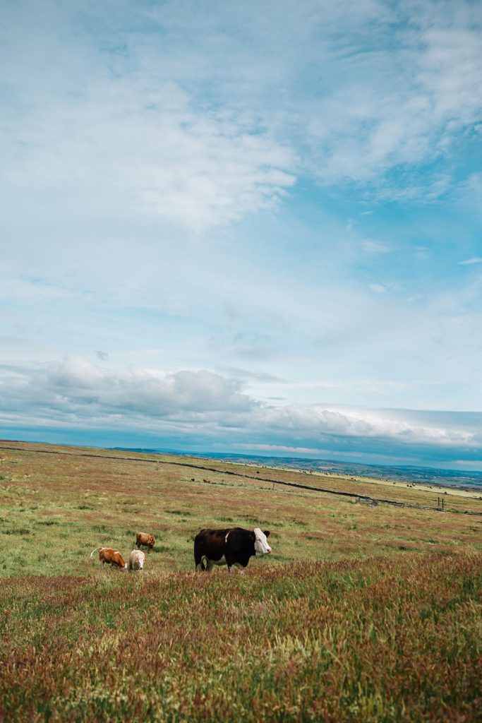 County Clare Ireland