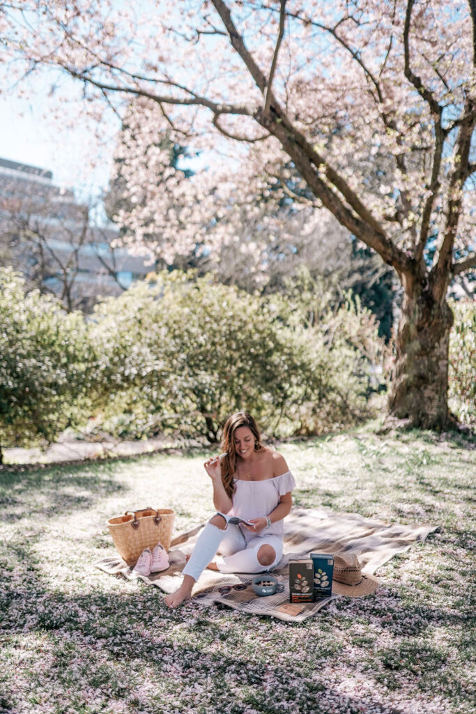 Vancouver cherry blossoms