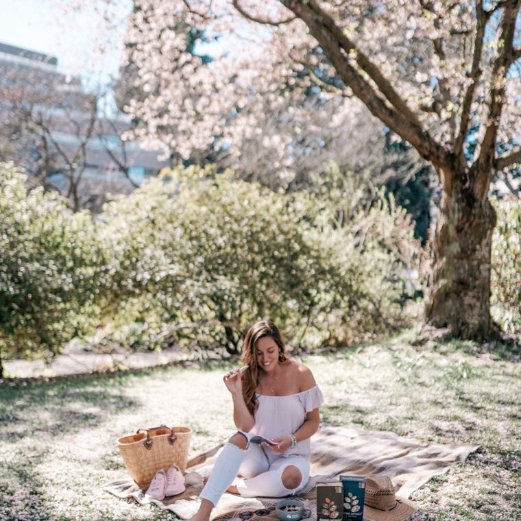 Vancouver cherry blossoms