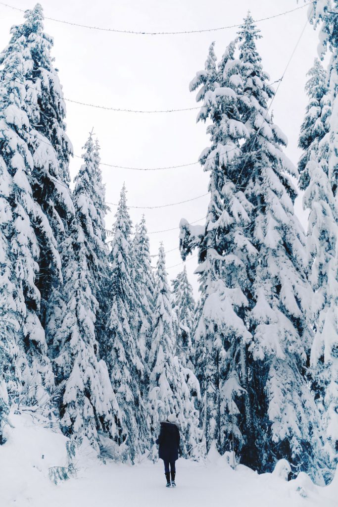 Grouse Mountain Vancouver