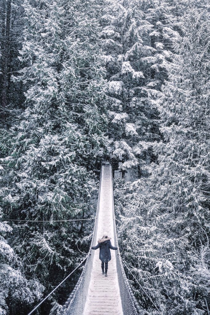 Lynn Valley Suspension Bridge