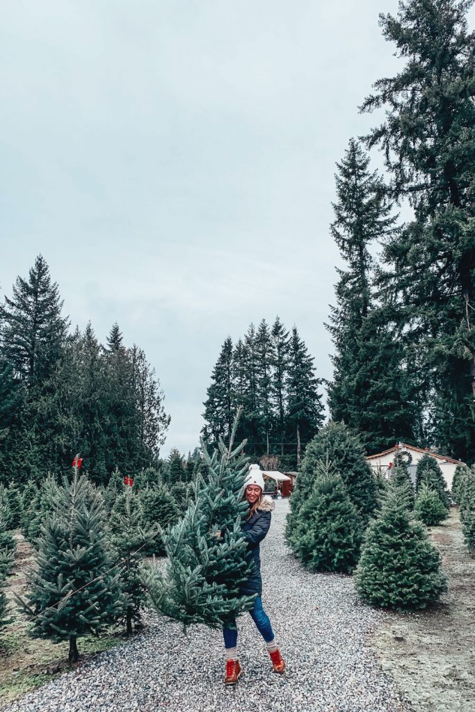 Christmas Tree Farm