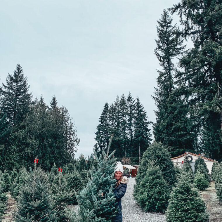 Christmas Tree Farm