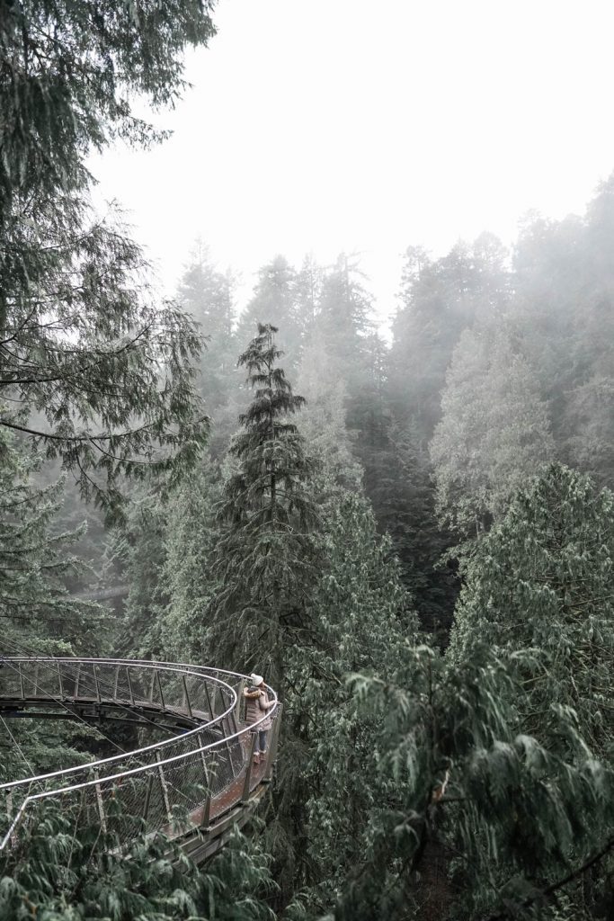 Capilano Suspension Bridge Park