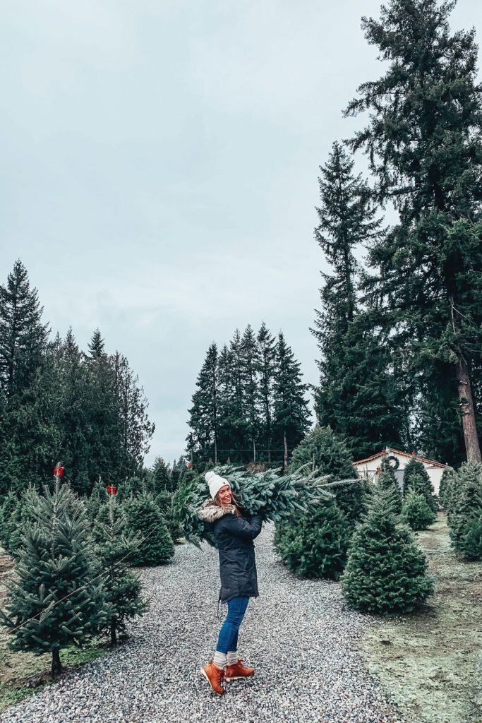 Christmas Tree Farm