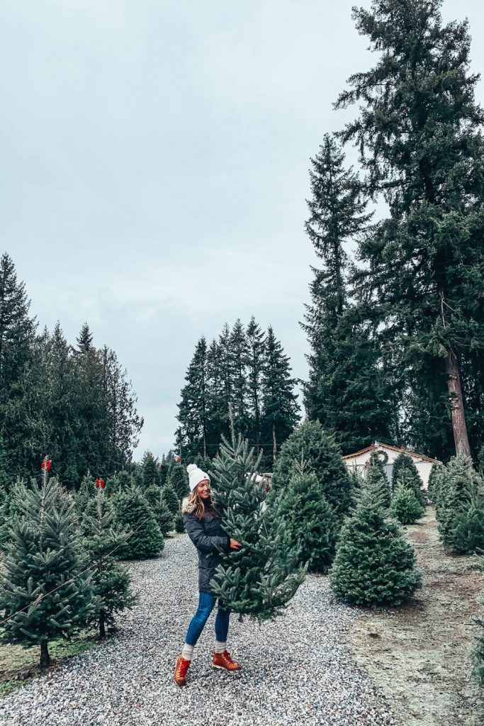 Christmas Tree Farm