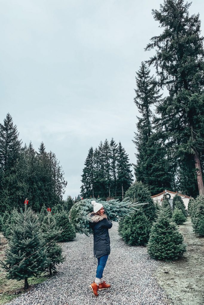 Christmas Tree Farm