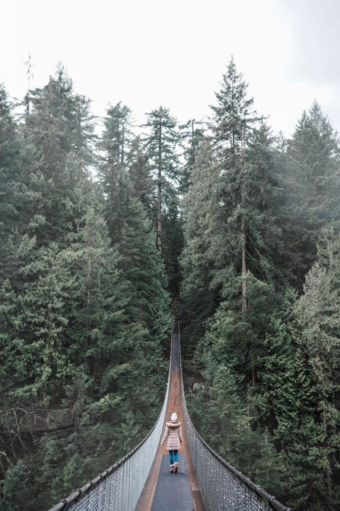 Canyon Suspension Bridge Vancouver