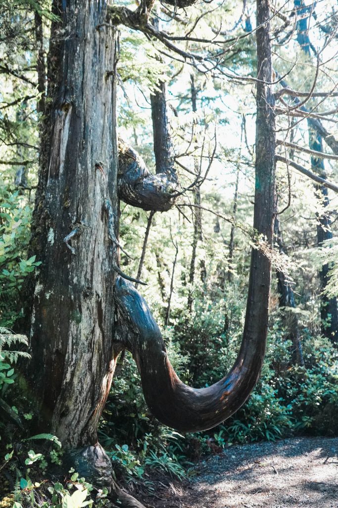 Tofino Canada