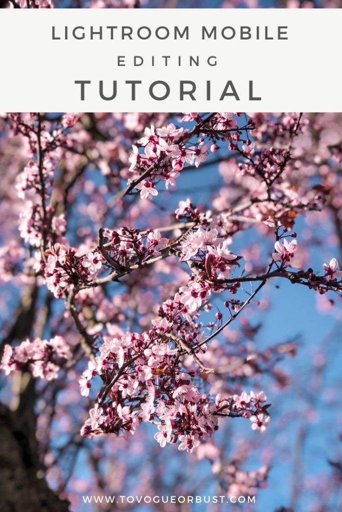 Lightroom mobile editing tutorial