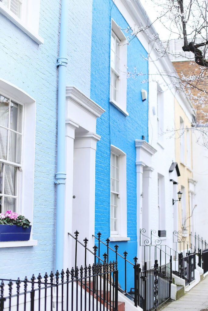 Cherry Blossoms Notting Hill