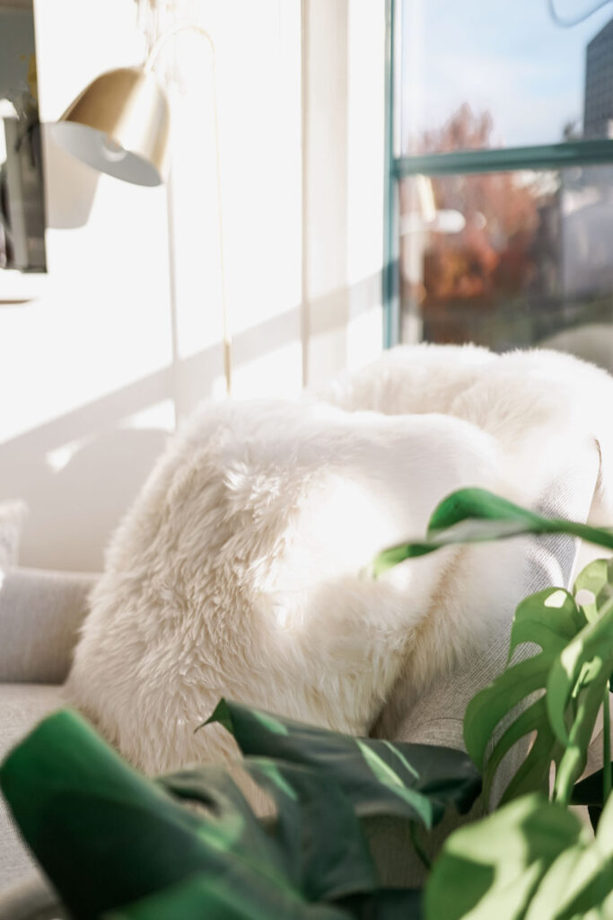 Sheepskin pillow