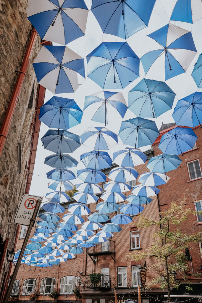 Umbrella Alley Quebec City