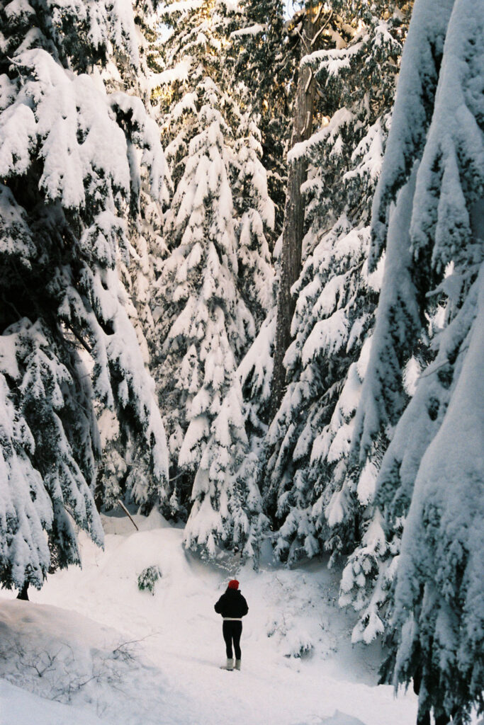Snowy hikes in Vancouver