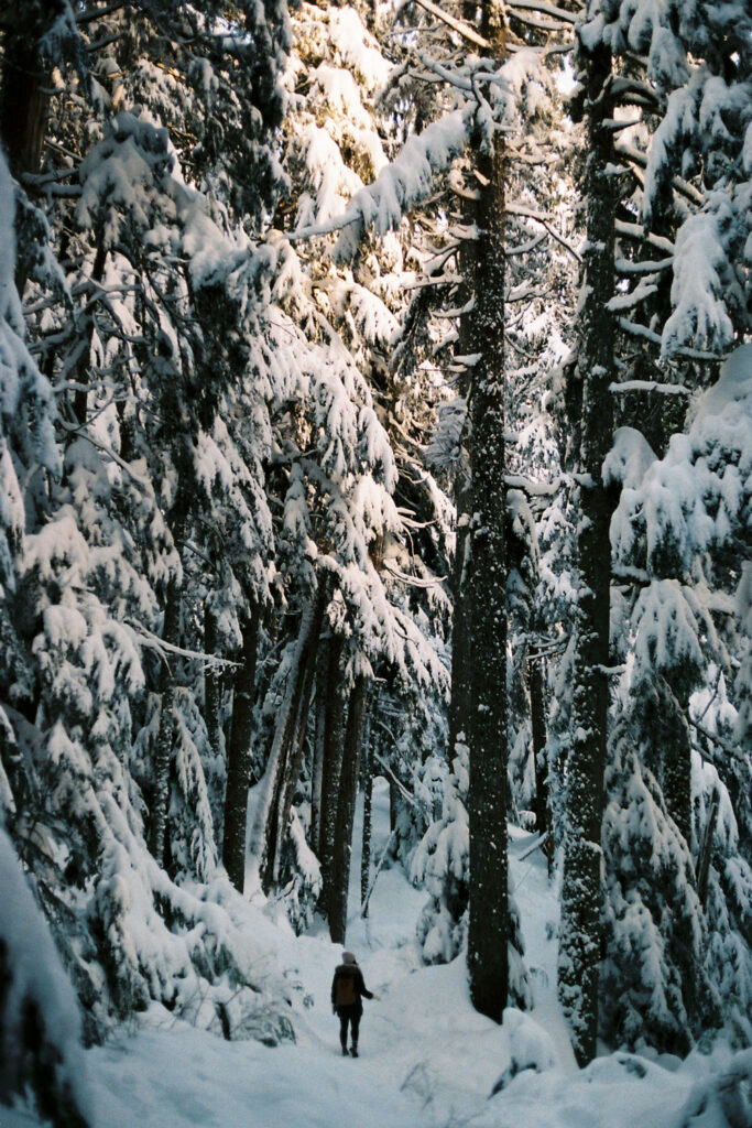 Vancouver hikes