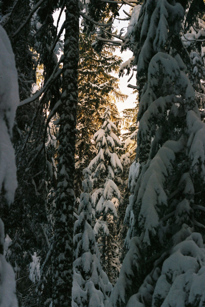 Snow hikes Vancouver