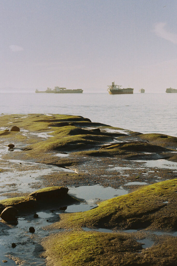 Tide pools Seawall