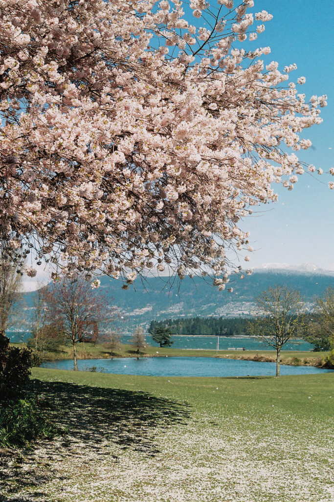 Vanier Park Vancouver