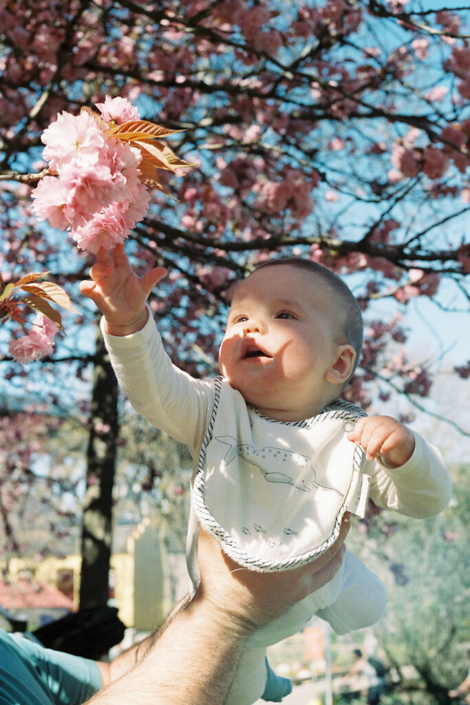 Baby and cherry blossoms