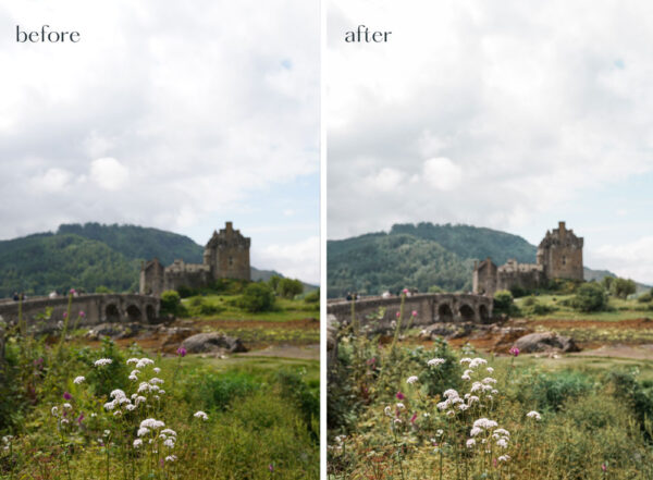 Lightroom preset for mobile