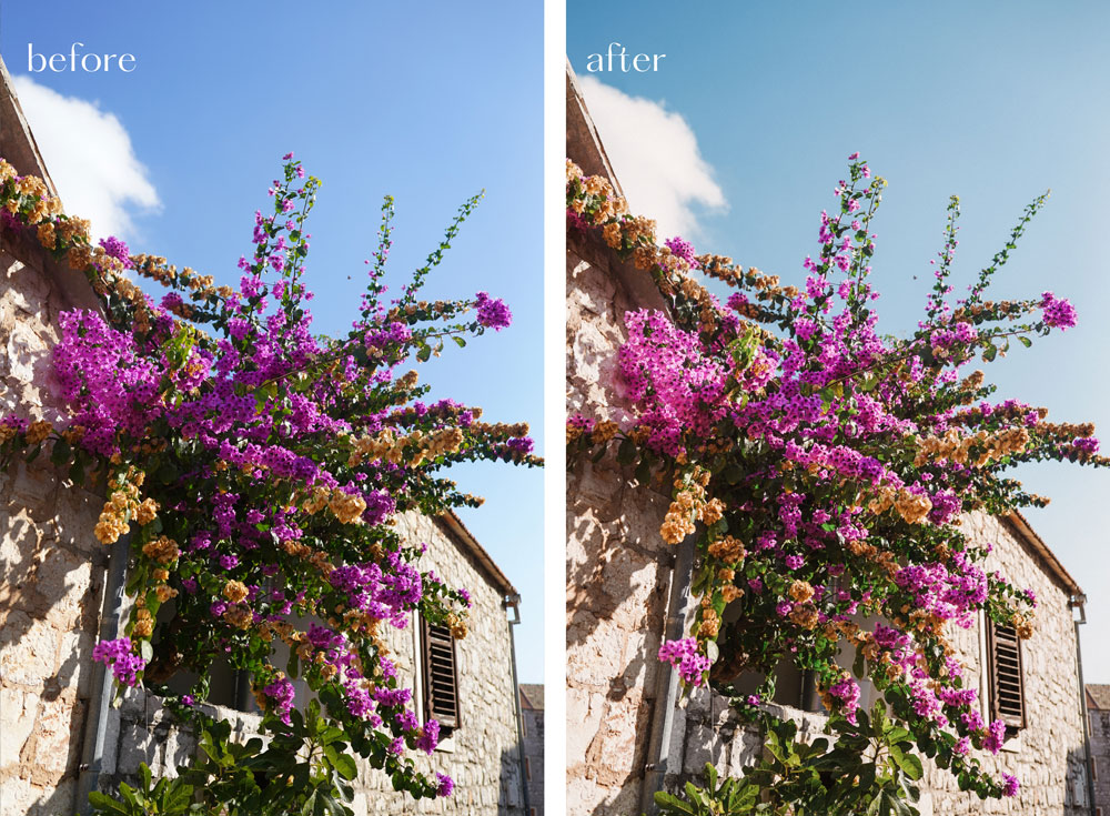 Lightroom preset for mobile