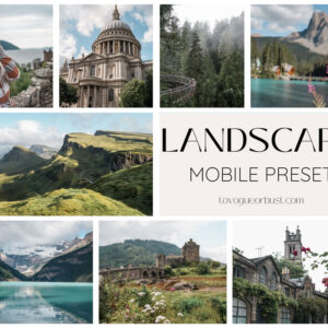 Lightroom preset for mobile