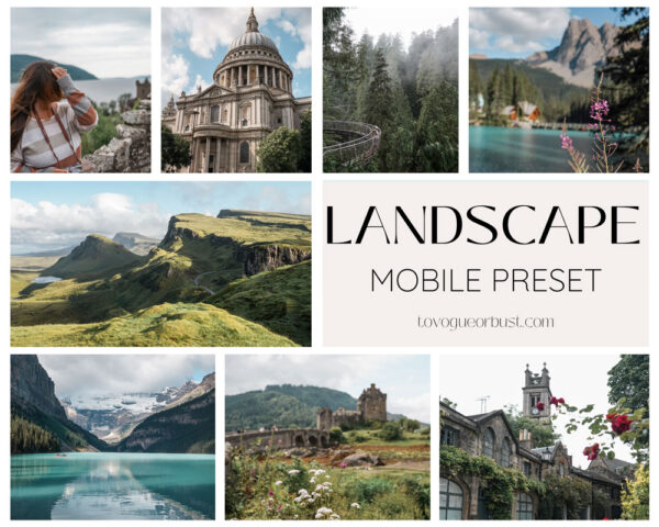 Lightroom preset for mobile