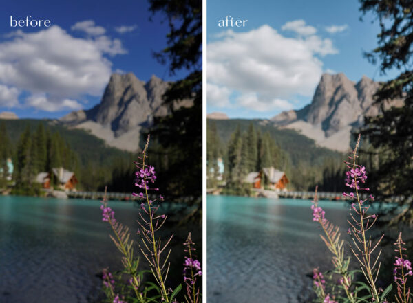 Nature lightroom preset