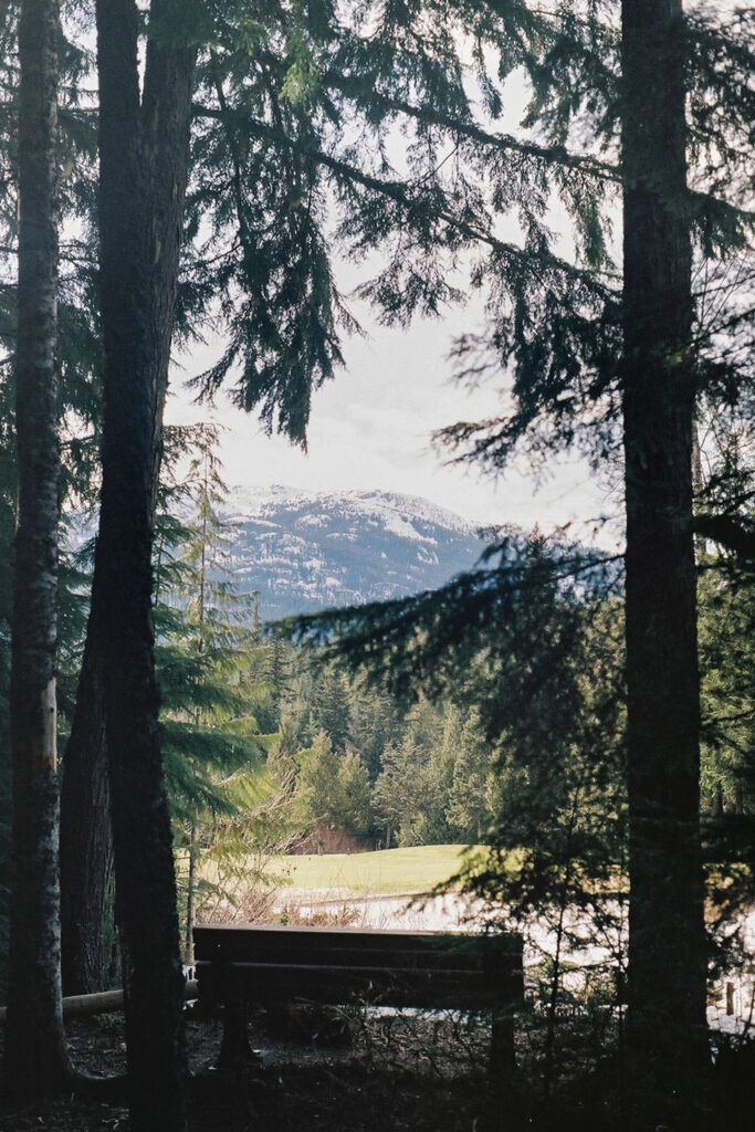 Whistler golf course