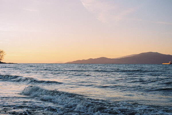 Spanish Banks 02 - Image 2