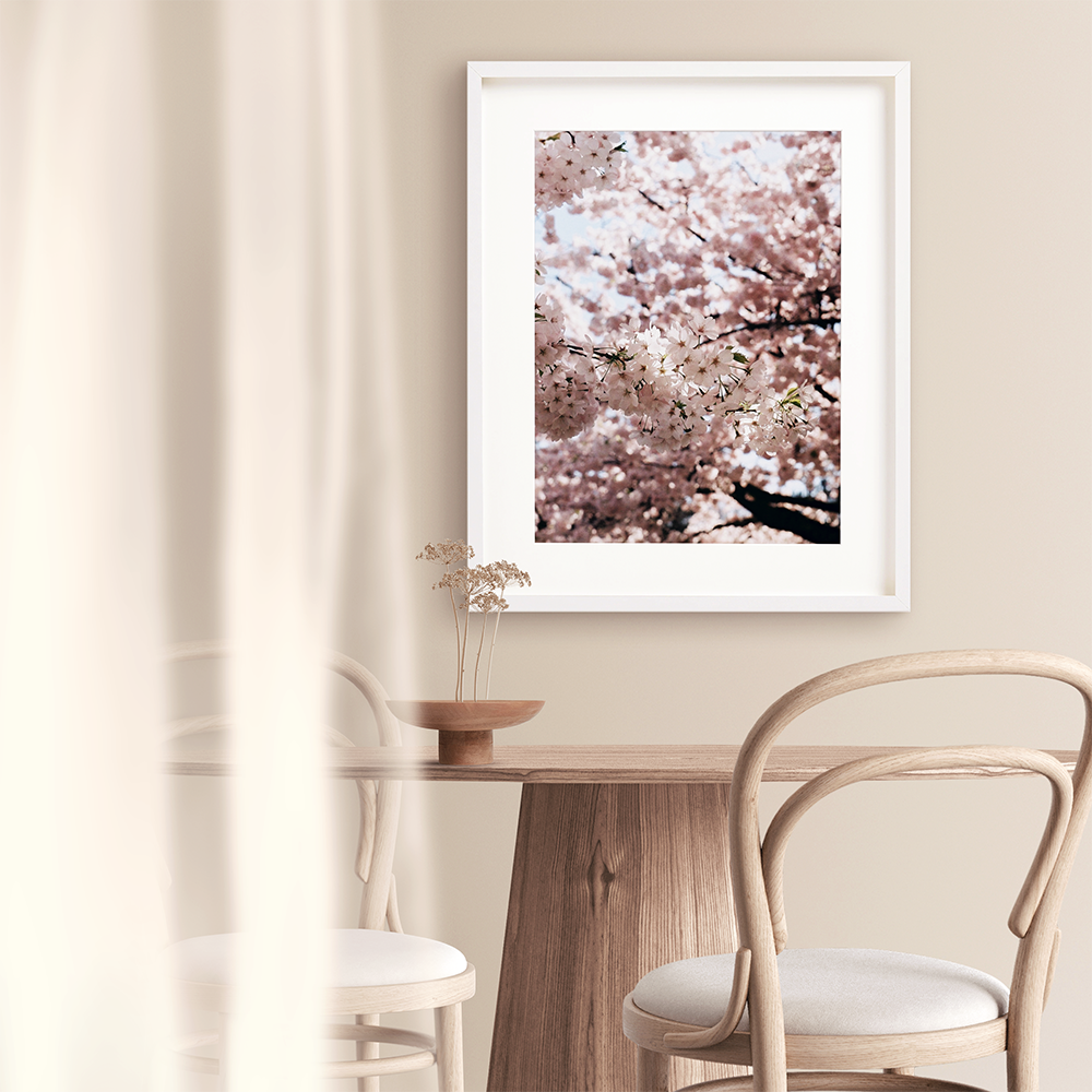 Cherry blossom art photography print