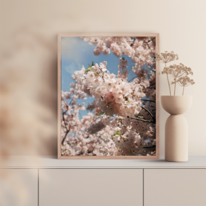 Cherry blossom art photography print