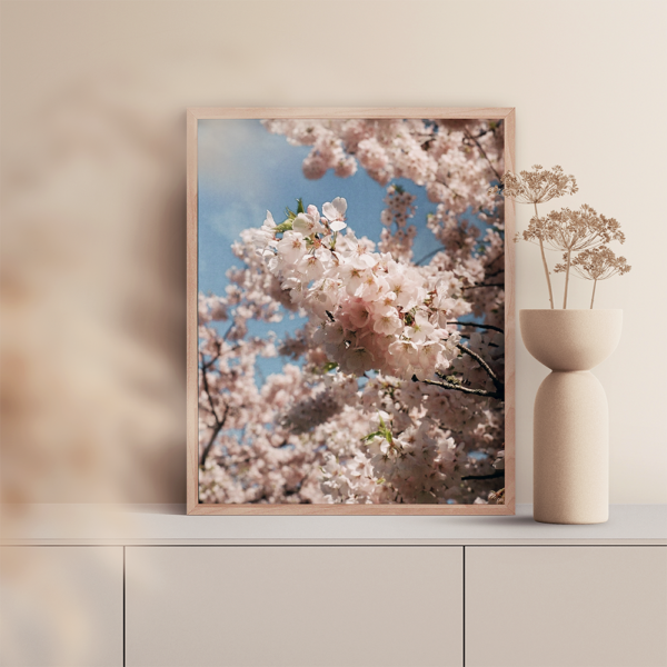 Cherry blossom art photography print