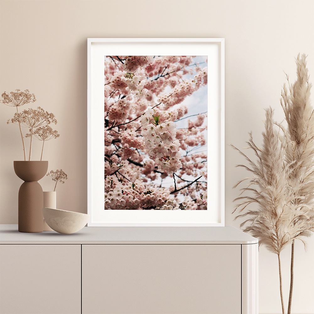 Cherry blossom art photography print