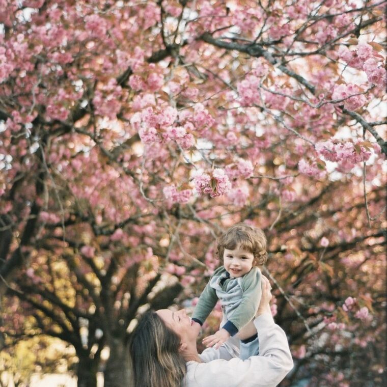 cherry blossom maternity shoot