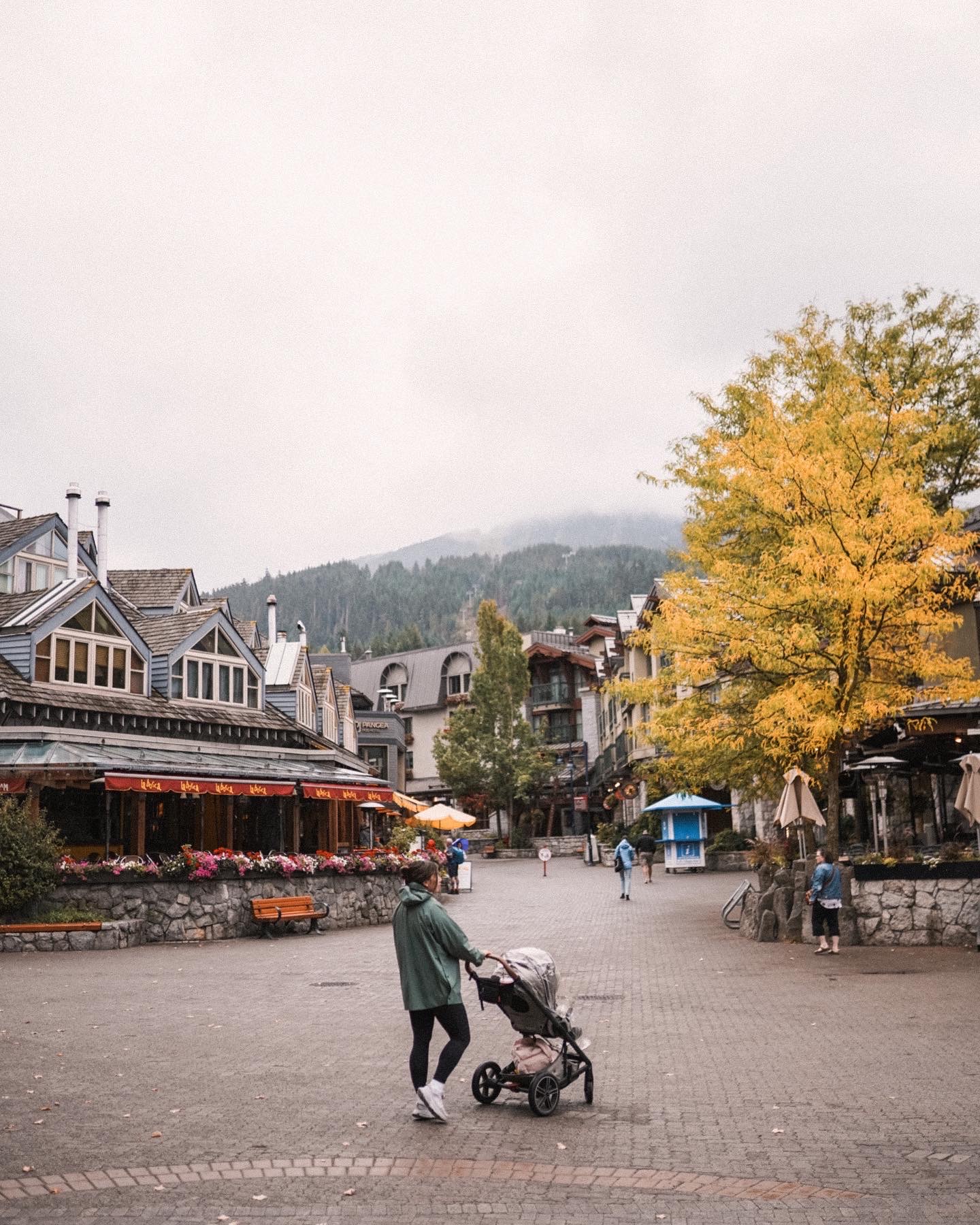 Whistler in the fall