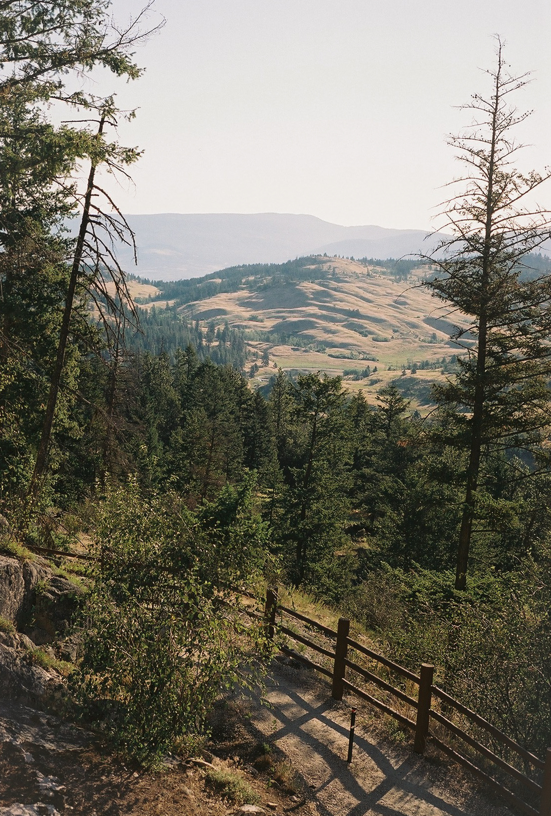 Forest walking trails near Sparkling Hill Resort