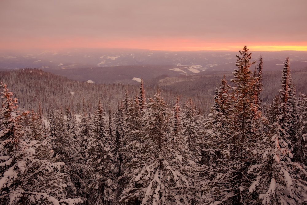 Snow-covered forest and mountains at sunrise at SilverStar Mountain Resort